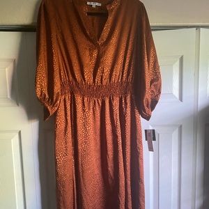Sandra Darren NWT dress